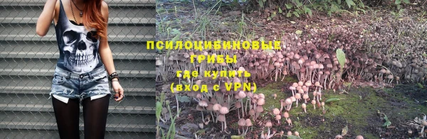 гидра Беломорск