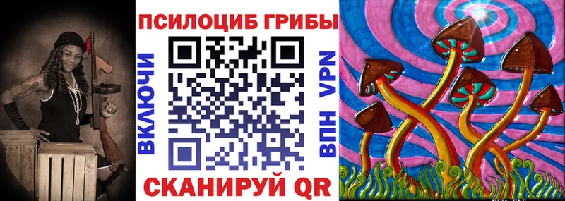 ОМГ ОМГ ССЫЛКА  Боровичи  Псилоцибиновые грибы ЛСД 